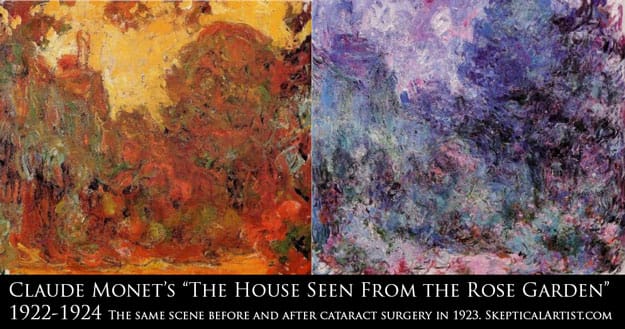 Did the ability to see UV lead Monet to paint with a more blueish palette ?